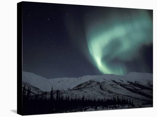 Northern Lights Curtain of Green and Yellow, Brooks Range, Alaska, USA-Hugh Rose-Stretched Canvas