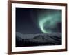 Northern Lights Curtain of Green and Yellow, Brooks Range, Alaska, USA-Hugh Rose-Framed Photographic Print