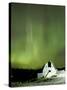 Northern Lights Dance across the Sky Near Palmer, Alaska-null-Stretched Canvas