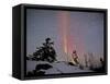 Northern Lights During Snow, Northwest Territories, March 2008, Canada-Eric Baccega-Framed Stretched Canvas