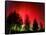 Northern Lights Glow-null-Framed Stretched Canvas