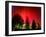 Northern Lights Glow-null-Framed Premium Photographic Print