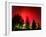 Northern Lights Glow-null-Framed Premium Photographic Print