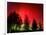 Northern Lights Glow-null-Framed Photographic Print