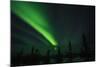 Northern Lights in the Alaska Sky, Alaska, USA-Terry Eggers-Mounted Photographic Print