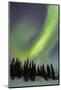 Northern Lights in Winter, Aurora Borealis, PyhŠ-Luosto National Park, Luosto, Lapland, Finland-P. Kaczynski-Mounted Photographic Print