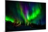Northern Lights, Lapland, Sweden-null-Mounted Photographic Print