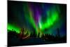 Northern Lights, Lapland, Sweden-null-Mounted Photographic Print