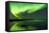 Northern Lights Near Eggum, Aurora Borealis, Eggum, Lofoten, Norway-Sonja Jordan-Framed Stretched Canvas