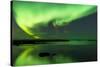 Northern Lights Near Eggum, Aurora Borealis, Eggum, Lofoten, Norway-Sonja Jordan-Stretched Canvas