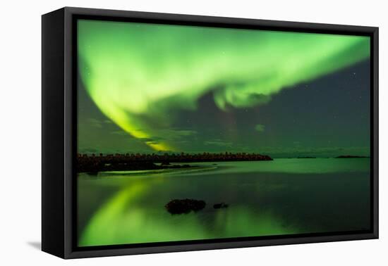 Northern Lights Near Eggum, Aurora Borealis, Eggum, Lofoten, Norway-Sonja Jordan-Framed Stretched Canvas