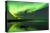 Northern Lights Near Eggum, Aurora Borealis, Eggum, Lofoten, Norway-Sonja Jordan-Stretched Canvas