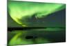 Northern Lights Near Eggum, Aurora Borealis, Eggum, Lofoten, Norway-Sonja Jordan-Mounted Photographic Print