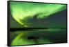 Northern Lights Near Eggum, Aurora Borealis, Eggum, Lofoten, Norway-Sonja Jordan-Framed Stretched Canvas