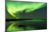 Northern Lights Near Eggum, Aurora Borealis, Eggum, Lofoten, Norway-Sonja Jordan-Mounted Photographic Print