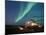 Northern Lights, North Slope of Brooks Range, USA-Steve Kazlowski-Mounted Photographic Print