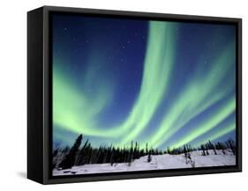 Northern Lights Northwest Territories, March 2008, Canada-Eric Baccega-Framed Stretched Canvas