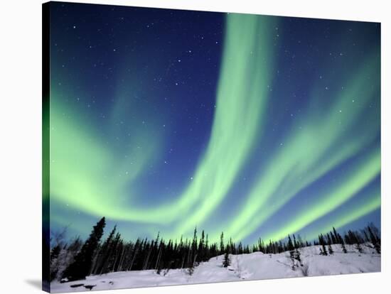 Northern Lights Northwest Territories, March 2008, Canada-Eric Baccega-Stretched Canvas