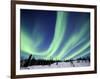 Northern Lights Northwest Territories, March 2008, Canada-Eric Baccega-Framed Premium Photographic Print