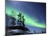 Northern Lights Northwest Territories, March 2008, Canada-Eric Baccega-Mounted Premium Photographic Print