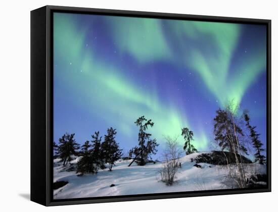 Northern Lights Northwest Territories, March 2008, Canada-Eric Baccega-Framed Stretched Canvas