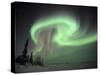 Northern Lights Northwest Territories, March 2008, Canada-Eric Baccega-Stretched Canvas