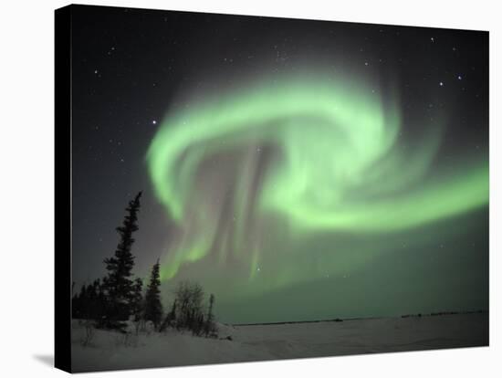 Northern Lights Northwest Territories, March 2008, Canada-Eric Baccega-Stretched Canvas