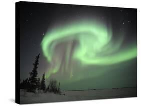 Northern Lights Northwest Territories, March 2008, Canada-Eric Baccega-Stretched Canvas