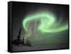 Northern Lights Northwest Territories, March 2008, Canada-Eric Baccega-Framed Stretched Canvas