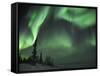 Northern Lights Northwest Territories, March 2008, Canada-Eric Baccega-Framed Stretched Canvas