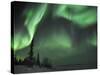 Northern Lights Northwest Territories, March 2008, Canada-Eric Baccega-Stretched Canvas