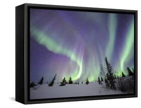 Northern Lights Northwest Territories, March 2008, Canada-Eric Baccega-Framed Stretched Canvas