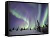 Northern Lights Northwest Territories, March 2008, Canada-Eric Baccega-Framed Stretched Canvas