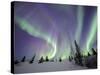 Northern Lights Northwest Territories, March 2008, Canada-Eric Baccega-Stretched Canvas