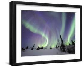 Northern Lights Northwest Territories, March 2008, Canada-Eric Baccega-Framed Premium Photographic Print