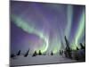 Northern Lights Northwest Territories, March 2008, Canada-Eric Baccega-Mounted Premium Photographic Print