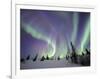 Northern Lights Northwest Territories, March 2008, Canada-Eric Baccega-Framed Premium Photographic Print