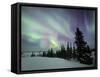 Northern Lights Northwest Territories, March 2008, Canada-Eric Baccega-Framed Stretched Canvas