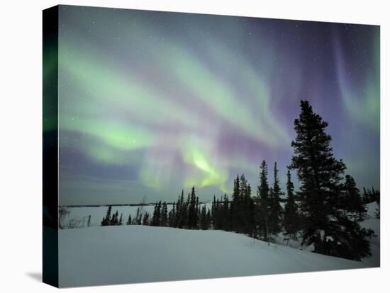 Northern Lights Northwest Territories, March 2008, Canada-Eric Baccega-Stretched Canvas