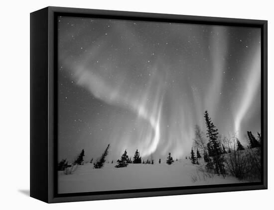 Northern Lights Northwest Territories, March 2008, Canada-Eric Baccega-Framed Stretched Canvas