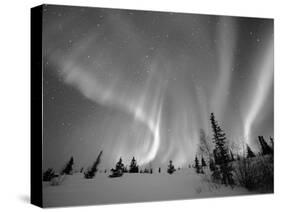 Northern Lights Northwest Territories, March 2008, Canada-Eric Baccega-Stretched Canvas