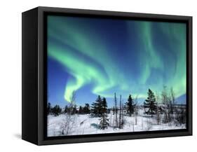 Northern Lights Northwest Territories, March 2008, Canada-Eric Baccega-Framed Stretched Canvas