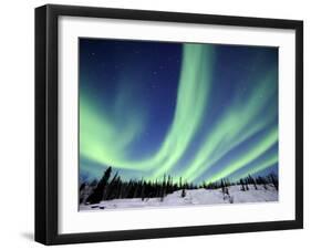 Northern Lights Northwest Territories, March 2008, Canada-Eric Baccega-Framed Photographic Print