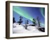 Northern Lights Northwest Territories, March 2008, Canada-Eric Baccega-Framed Photographic Print