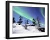 Northern Lights Northwest Territories, March 2008, Canada-Eric Baccega-Framed Photographic Print