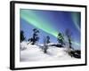 Northern Lights Northwest Territories, March 2008, Canada-Eric Baccega-Framed Photographic Print