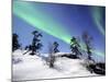 Northern Lights Northwest Territories, March 2008, Canada-Eric Baccega-Mounted Photographic Print