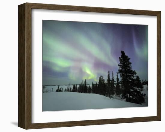 Northern Lights Northwest Territories, March 2008, Canada-Eric Baccega-Framed Photographic Print