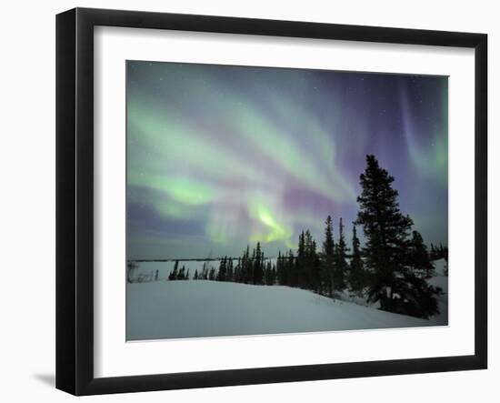 Northern Lights Northwest Territories, March 2008, Canada-Eric Baccega-Framed Photographic Print