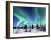 Northern Lights Northwest Territories, March 2008, Canada-Eric Baccega-Framed Photographic Print